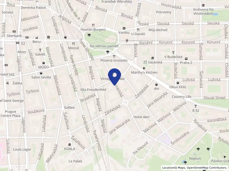 SELVAS, akciová společnost, Americká 459/27, 12000 Praha 2 - Vinohrady, IČO 25282069