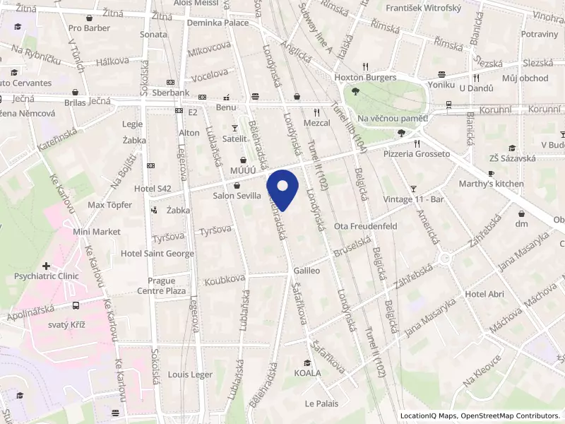 zuzkaaacz s.r.o. v likvidaci, Bělehradská 569/90, 12000 Praha 2 - Vinohrady, IČO 10758330