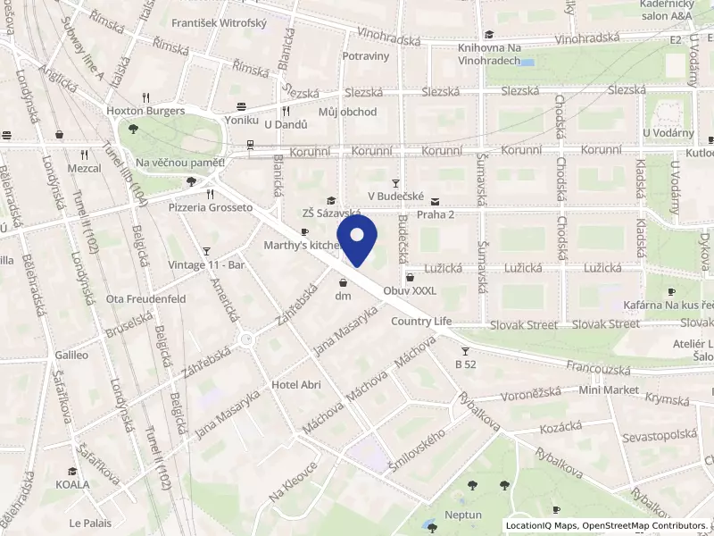 Obvodní soud pro Prahu 2, Francouzská 808/19, 12000 Praha 2 - Vinohrady, IČO 00024392