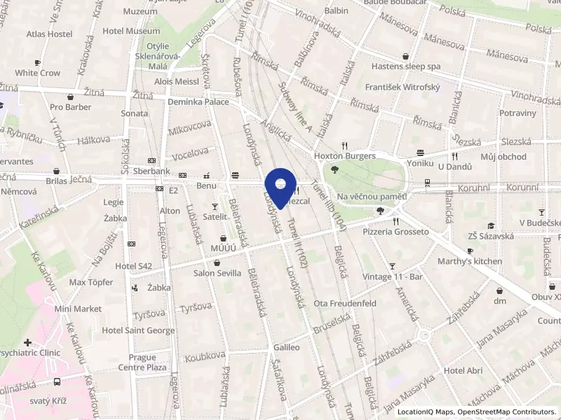 SUZUKI  & ASSOCIATES, s.r.o., Londýnská 575/48, 12000 Praha 2 - Vinohrady, IČO 26736110