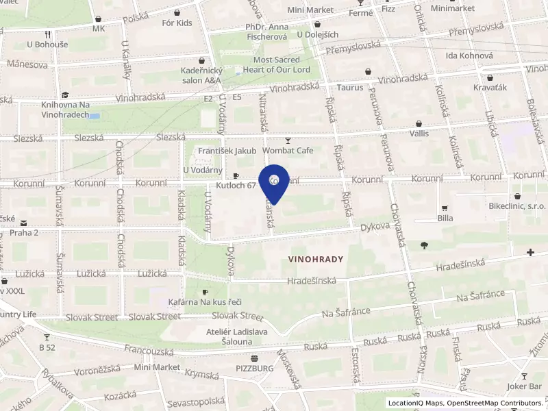 Čermák-Pasířství s.r.o., Nitranská 1045/6, 10100 Praha 10 - Vinohrady, IČO 24778087