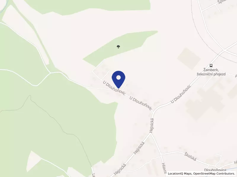 La Viva, s.r.o., U Dlouhoňovic 1481, 56401 Žamberk - Žamberk, IČO 10847243