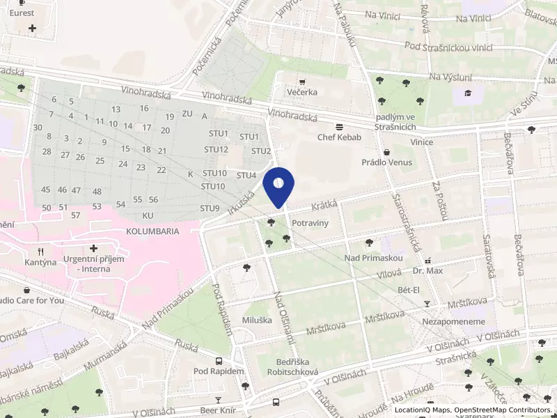 Beer Ječná s.r.o., Krátká 2440/13, 10000 Praha 10 - Vinohrady, IČO 17070601