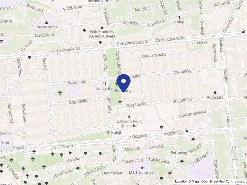 BagStudio s.r.o., Turnovského 497/2, 10000 Praha 10 - Strašnice, IČO 01518062