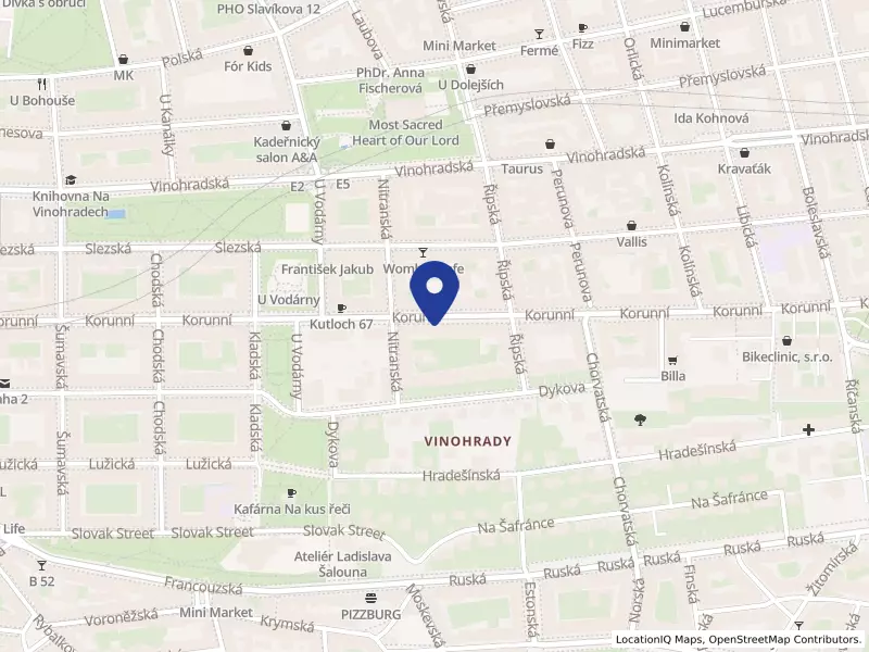 PJ Solution s.r.o., Praha, Korunní 1208/74, 10100 Praha 10 - Vinohrady, IČO 08956944