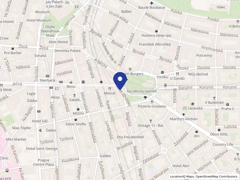 Městská část Praha 2, náměstí Míru 600/20, 12000 Praha 2 - Vinohrady, IČO 00063461