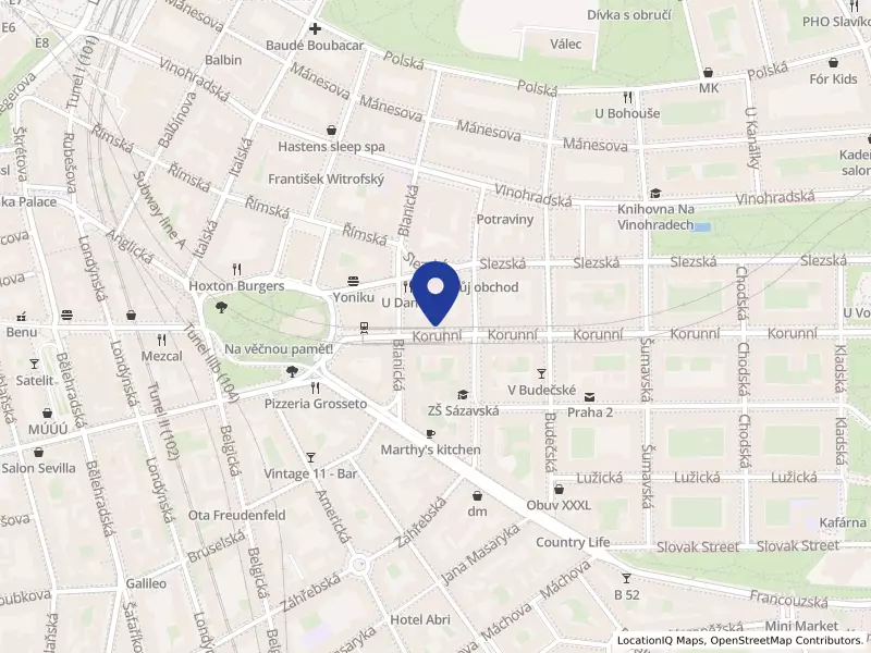 YANG KAI s.r.o., Korunní 728/9, 12000 Praha 2 - Vinohrady, IČO 28929179