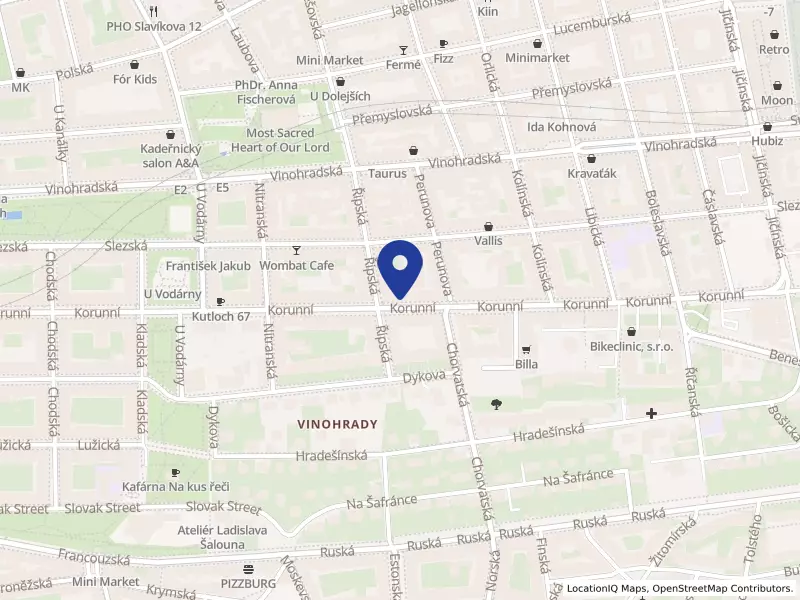 Wen's restaurant s.r.o., Korunní 819/93, 13000 Praha 3 - Vinohrady, IČO 23303760