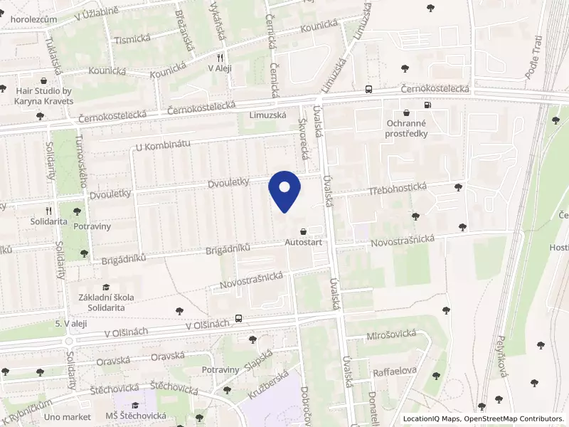 ESET, Psychoterapeutická a psychosomatická klinika, s.r.o., Úvalská 3411/47, 10000 Praha 10 - Strašnice, IČO 48585386