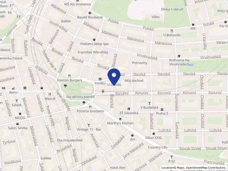 MEDIRECO CLINIC s.r.o., Blanická 553/16, 12000 Praha 2 - Vinohrady, IČO 25057065
