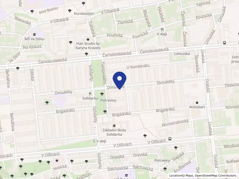 DATA AUTOTRANS s.r.o., Dvouletky 405/26, 10000 Praha 10 - Strašnice, IČO 27192873