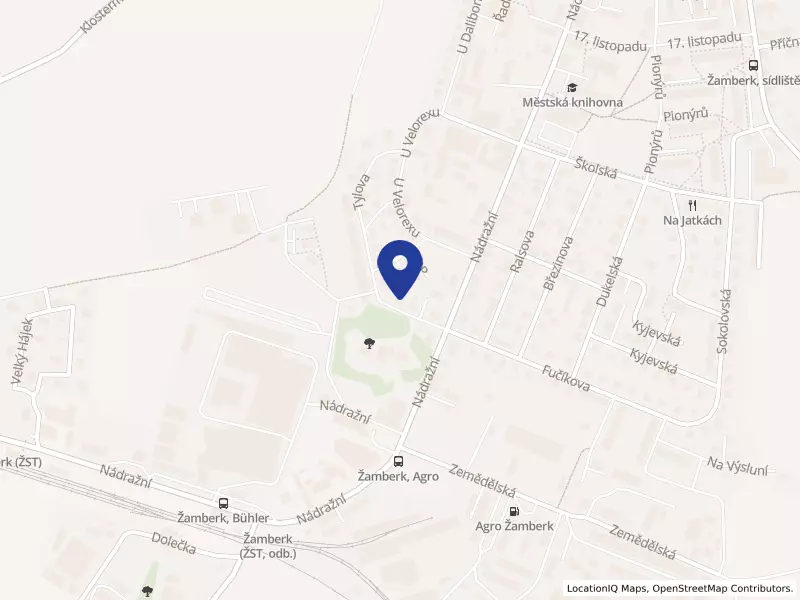 Denis d´Or s.r.o., Tylova 750, 56401 Žamberk - Žamberk, IČO 06968651