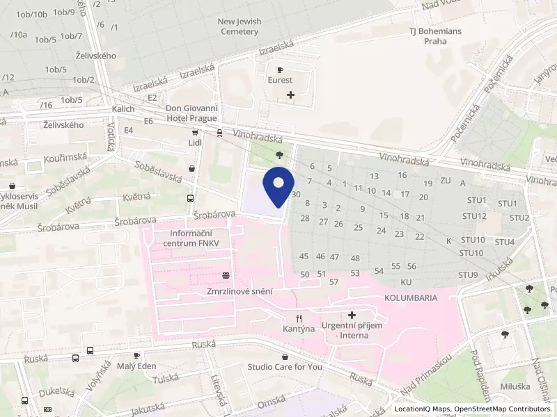 Obchodní akademie Hovorčovická, Praha, U vinohradského hřbitova 2471/3, 13000 Praha 3 - Vinohrady, IČO 61388017
