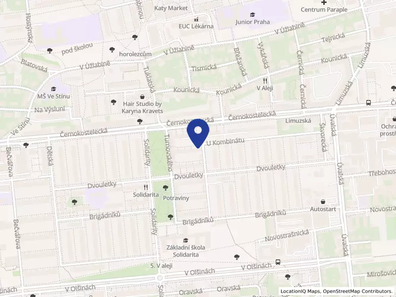 IMINO REAL s.r.o., U kombinátu 127/33, 10000 Praha 10 - Strašnice, IČO 06870040