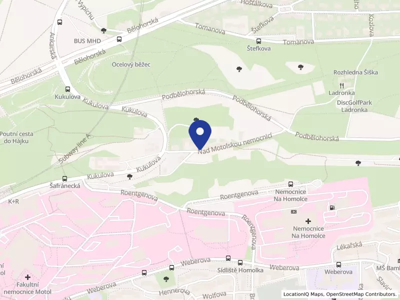 PÁLFFY RESTAURANT s.r.o., Nad motolskou nemocnicí 1044/16, 16900 Praha 6 - Břevnov, IČO 02795124