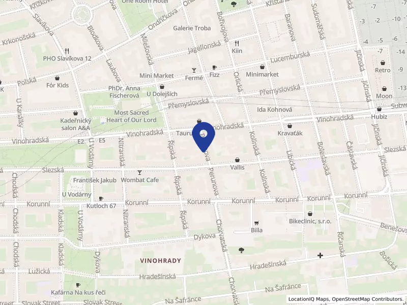 Solomon Capital s.r.o., Perunova 930/13, 13000 Praha 3 - Vinohrady, IČO 05223636