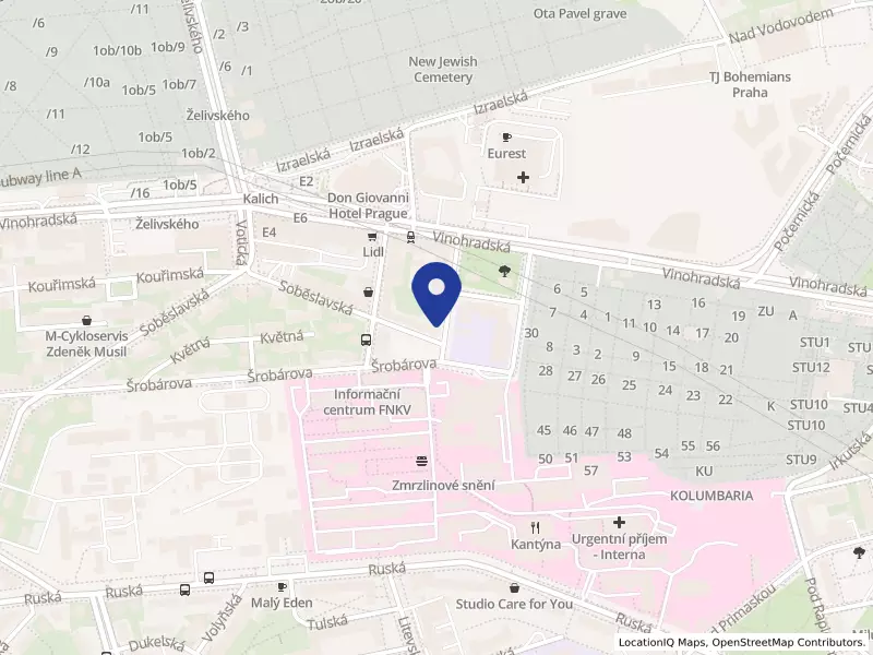NewConsult Prag s.r.o., Hollarovo náměstí 2258/1, 13000 Praha 3 - Vinohrady, IČO 09603735