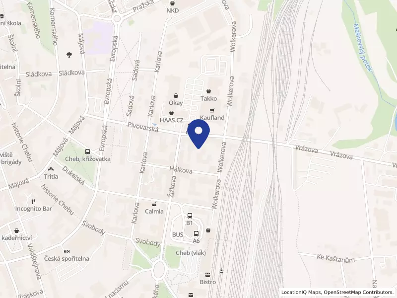 Santachj s.r.o., Pivovarská 669/30, 35002 Cheb - Cheb, IČO 06322441