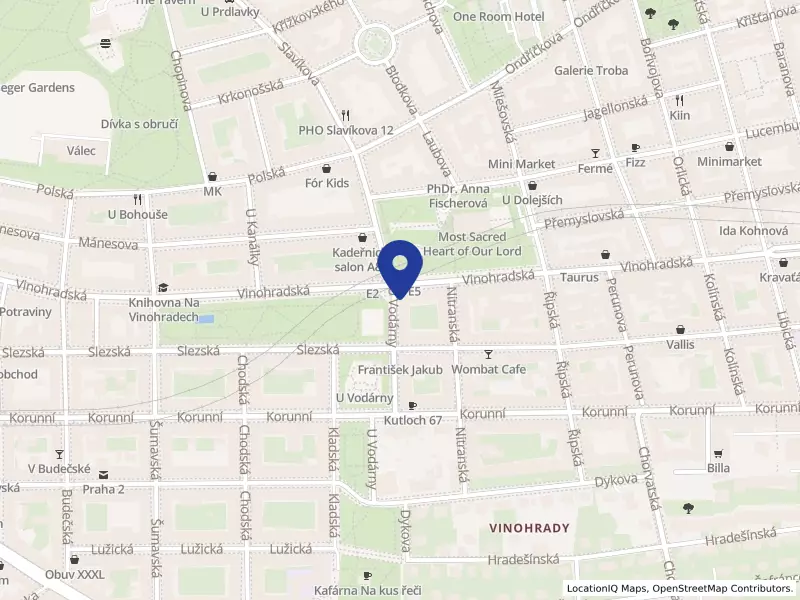 PATEMA IS s.r.o., Praha, U vodárny 878/16, 13000 Praha 3 - Vinohrady, IČO 07433107