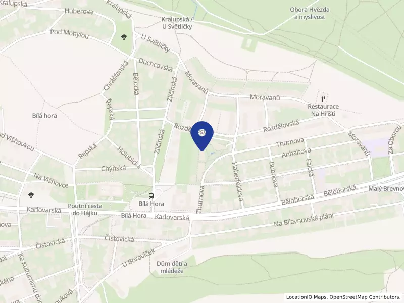 Český červený kříž, Rozdělovská 2467/63, 16900 Praha 6 - Břevnov, IČO 00426547
