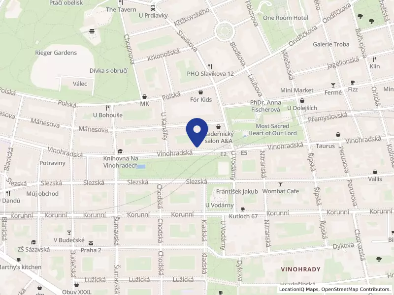 ELEKTRO SKUHROVEC s.r.o., Vinohradská 32/91, 12000 Praha 2 - Vinohrady, IČO 27176134