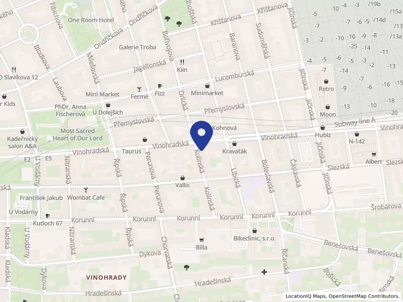 APETIT VINOHRADSKÁ s.r.o., Kolínská 1983/20, 13000 Praha 3 - Vinohrady, IČO 27176347