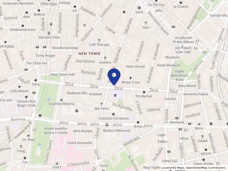 IN Film Praha spol. s r.o., Žitná 610/23, 11000 Praha 1 - Nové Město, IČO 49703099