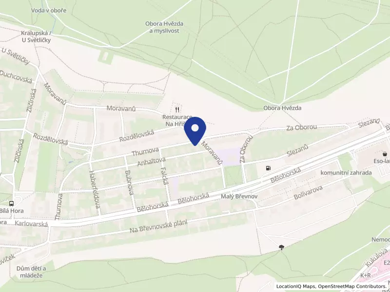 SHZ Rous s.r.o., Thurnova 965/1, 16900 Praha 6 - Břevnov, IČO 24265861