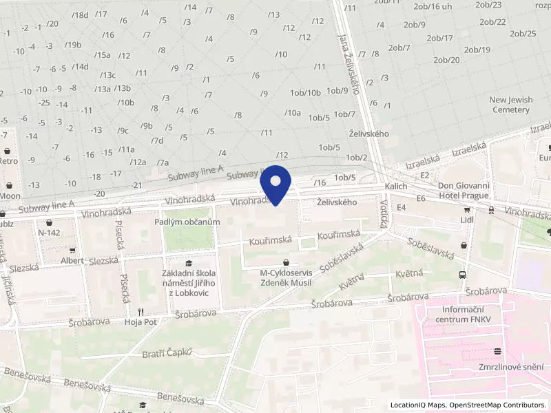 Fyziomona s.r.o., Vinohradská 1513/176, 13000 Praha 3 - Vinohrady, IČO 03886034