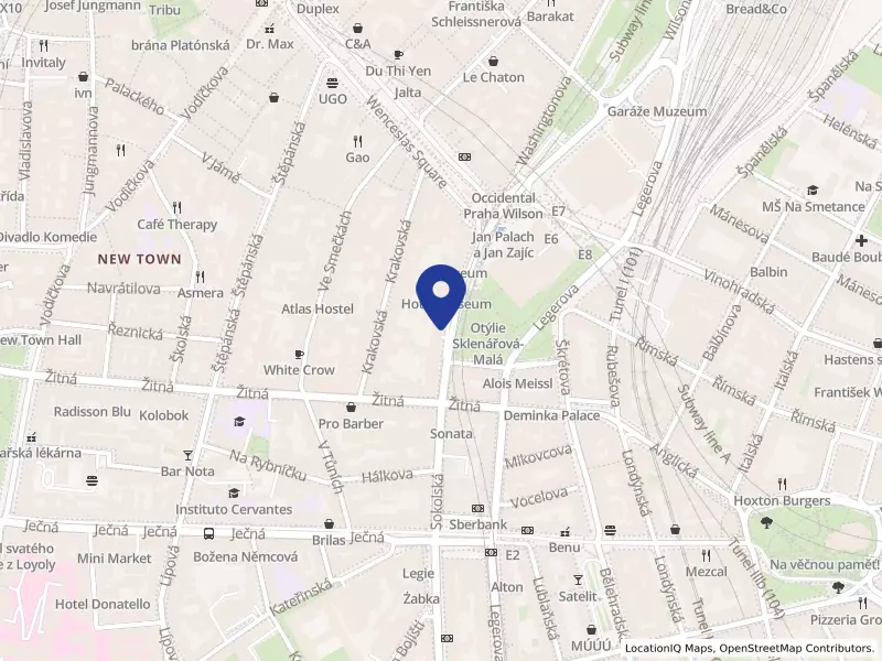 dětská skupina Hana, z.s., Mezibranská 578/9, 11000 Praha 1 - Nové Město, IČO 11941456