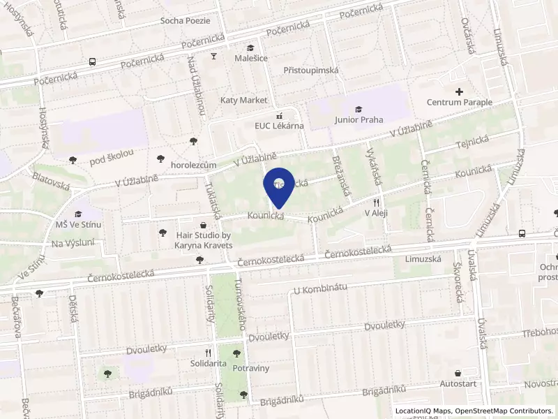 ZaZaZborov s.r.o., Kounická 583/13, 10000 Praha 10 - Strašnice, IČO 05285275