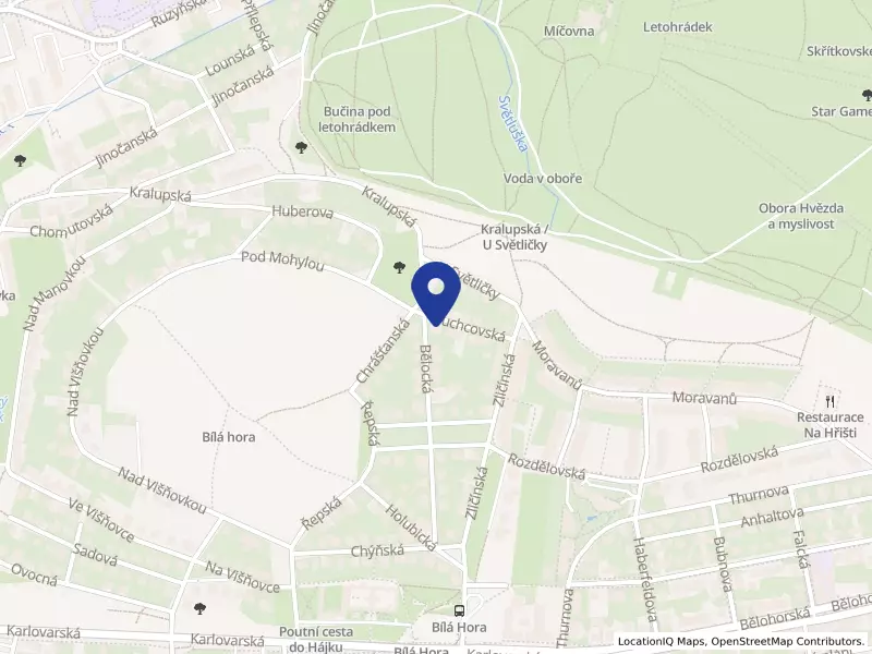 Institut sociální práce, z.s., Duchcovská 361/11, 16100 Praha 6 - Ruzyně, IČO 04323882