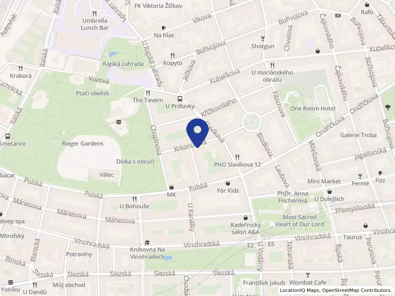 GSM network services s.r.o., Praha, Krkonošská 1607/10, 12000 Praha 2 - Vinohrady, IČO 28938224