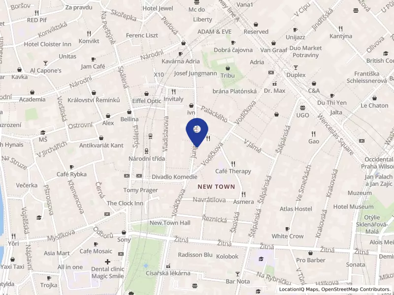 RATIO s.r.o., Jungmannova 734/8, 11000 Praha 1 - Nové Město, IČO 41692993