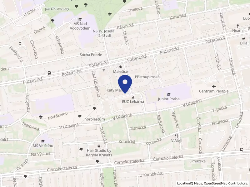 Lékárna AVE s.r.o., Počernická 699/62e, 10800 Praha 10 - Malešice, IČO 26863090