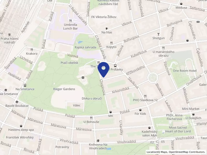 Hampton Roads Foundation, s.r.o., Na Švihance 1476/1, 12000 Praha 2 - Vinohrady, IČO 26730642