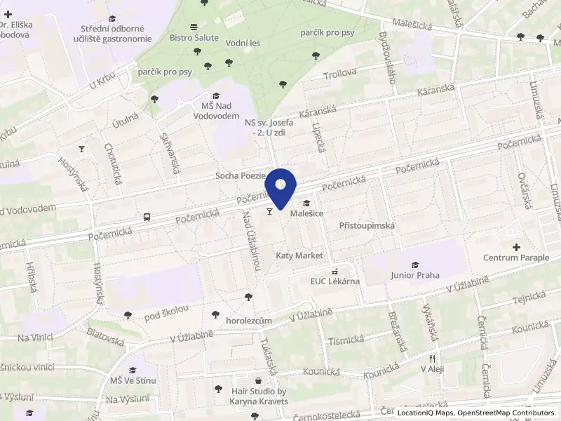 CRI ameba.eu, s.r.o., Počernická 699/62, 10800 Praha 10 - Malešice, IČO 24306291
