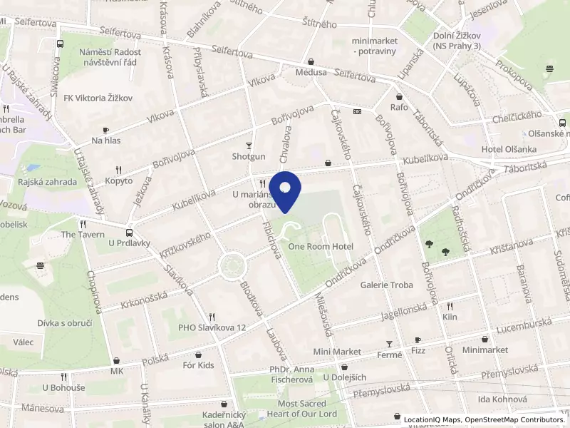 Central Learning Center s.r.o., Praha 3 - Žižkov, Fibichova 2, PSČ 13000, IČO 62959352