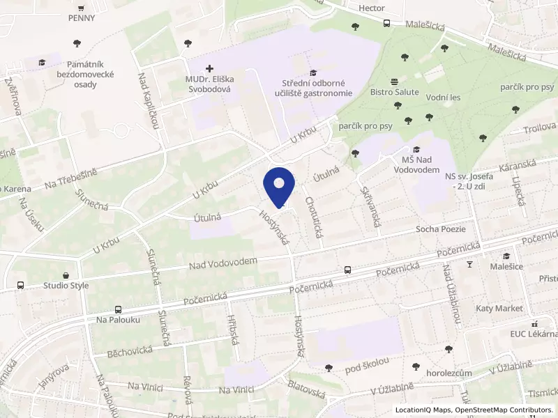 WIZYR s.r.o., Praha, Hostýnská 520/14, 10800 Praha 10 - Malešice, IČO 01860798