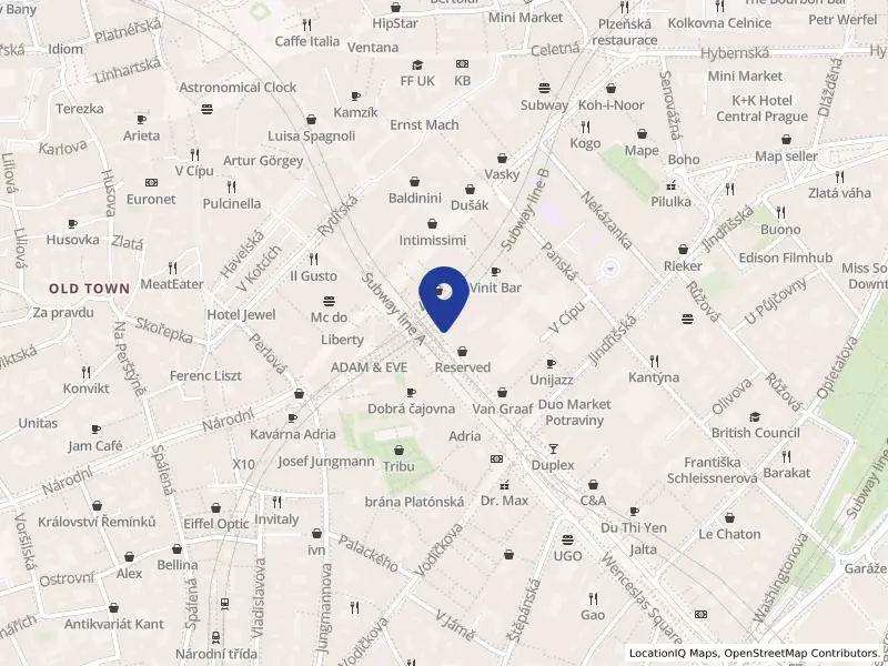 HOTEL AMBASSADOR ZLATÁ HUSA spol. s r.o., Václavské náměstí 840/5, 11000 Praha 1 - Nové Město, IČO 45794898
