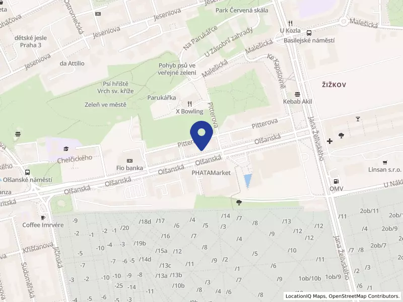 PALING - COM s.r.o., Praha, Olšanská 55/5, 13000 Praha 3 - Žižkov, IČO 24764787