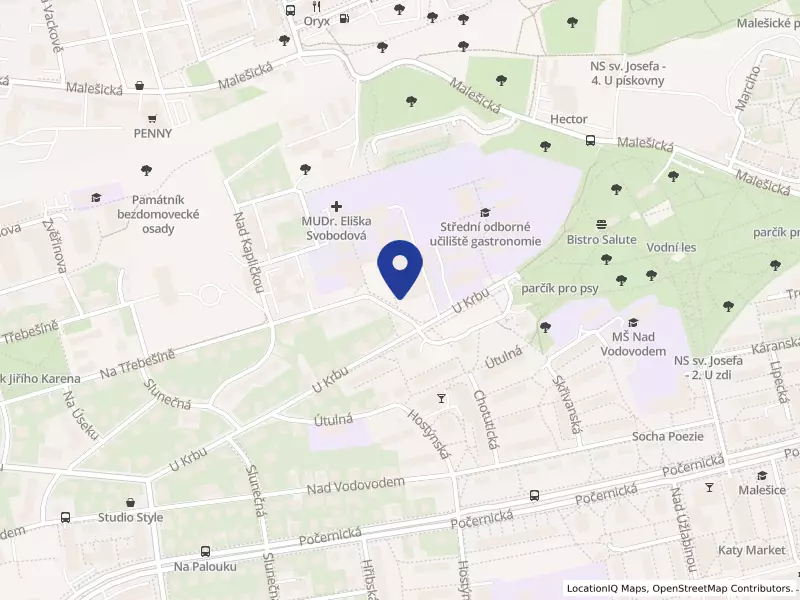 Střední průmyslová škola a Gymnázium Na Třebešíně, Na Třebešíně 2299/69, 10800 Praha 10 - Strašnice, IČO 61385417