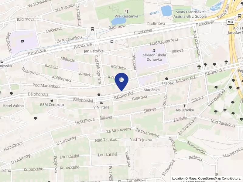 CS Medicus s.r.o., Bělohorská 1680/60, 16900 Praha 6 - Břevnov, IČO 10890599