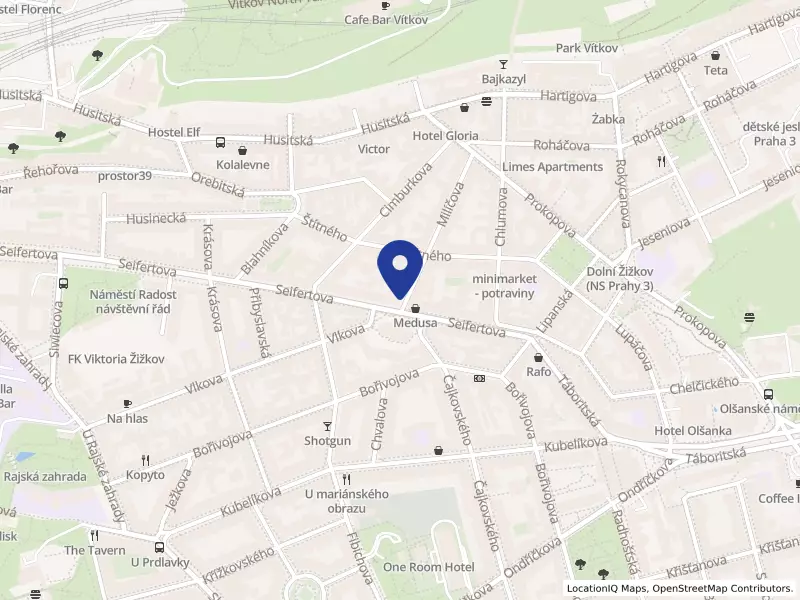 MUDr. Vršková s.r.o., Milíčova 413/1, 13000 Praha 3 - Žižkov, IČO 08574979