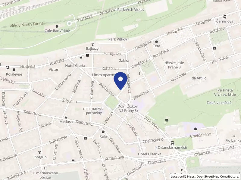 Czech College s.r.o., Praha, Sabinova 287/3, 13000 Praha 3 - Žižkov, IČO 01558943