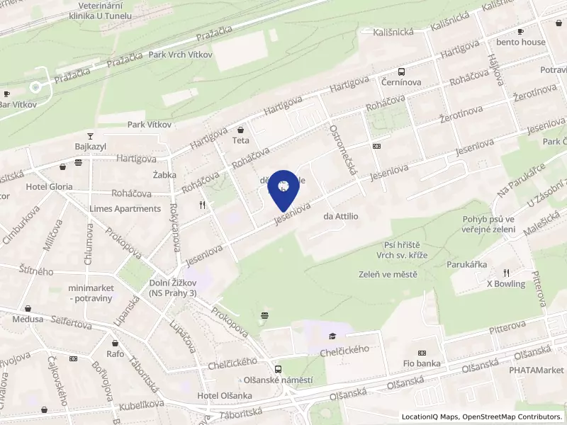 Czech Viet s.r.o., Jeseniova 519/19, 13000 Praha 3 - Žižkov, IČO 06665659