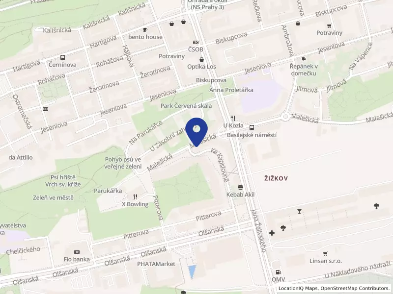Pegas - Steel s.r.o., Malešická 2447/4, 13000 Praha 3 - Žižkov, IČO 02371588