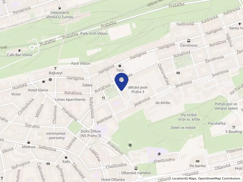 ARTE GRAFIK s.r.o., Blahoslavova 233/6, 13000 Praha 3 - Žižkov, IČO 25140515