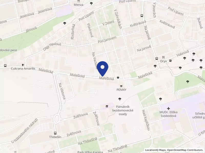 MGVIVA a.s., Malešická 2251/51, 13000 Praha 3 - Žižkov, IČO 17321611