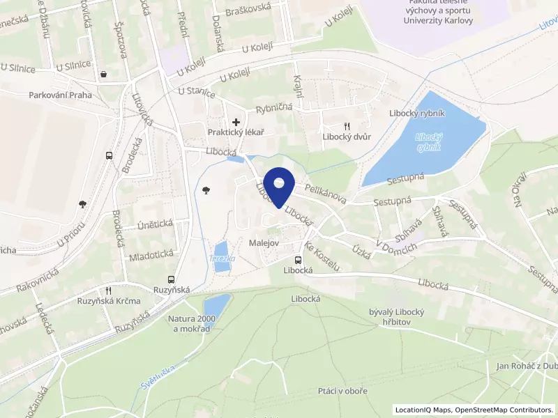 DEREZA, společnost s ručením omezeným, Libocká 685/43d, 16200 Praha 6 - Liboc, IČO 48036315